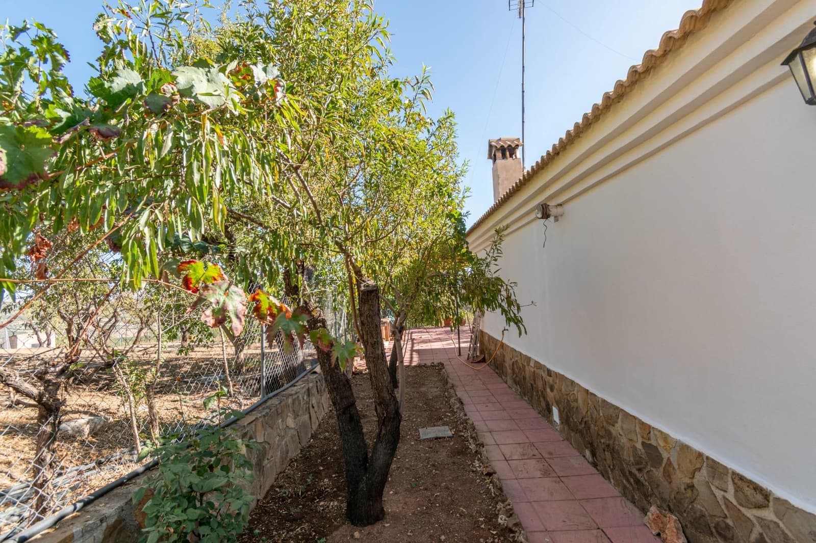 Finca/Casa Rural de 3 habitaciones en La Peza en venta - 149.900 € (Ref: 9534312)