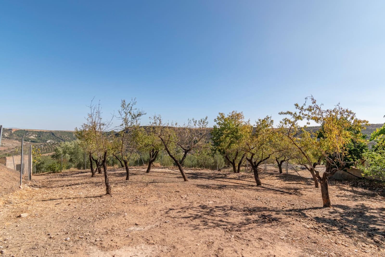 Finca/Casa Rural de 3 habitaciones en La Peza en venta - 149.900 € (Ref: 9534312)