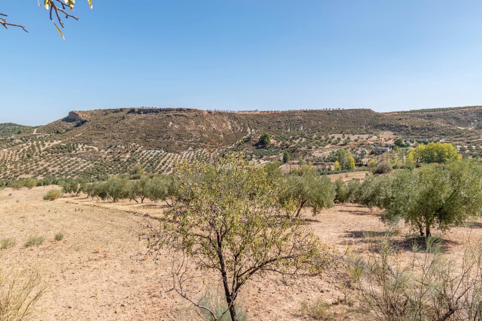 Finca/Casa Rural de 3 habitaciones en La Peza en venta - 149.900 € (Ref: 9534312)