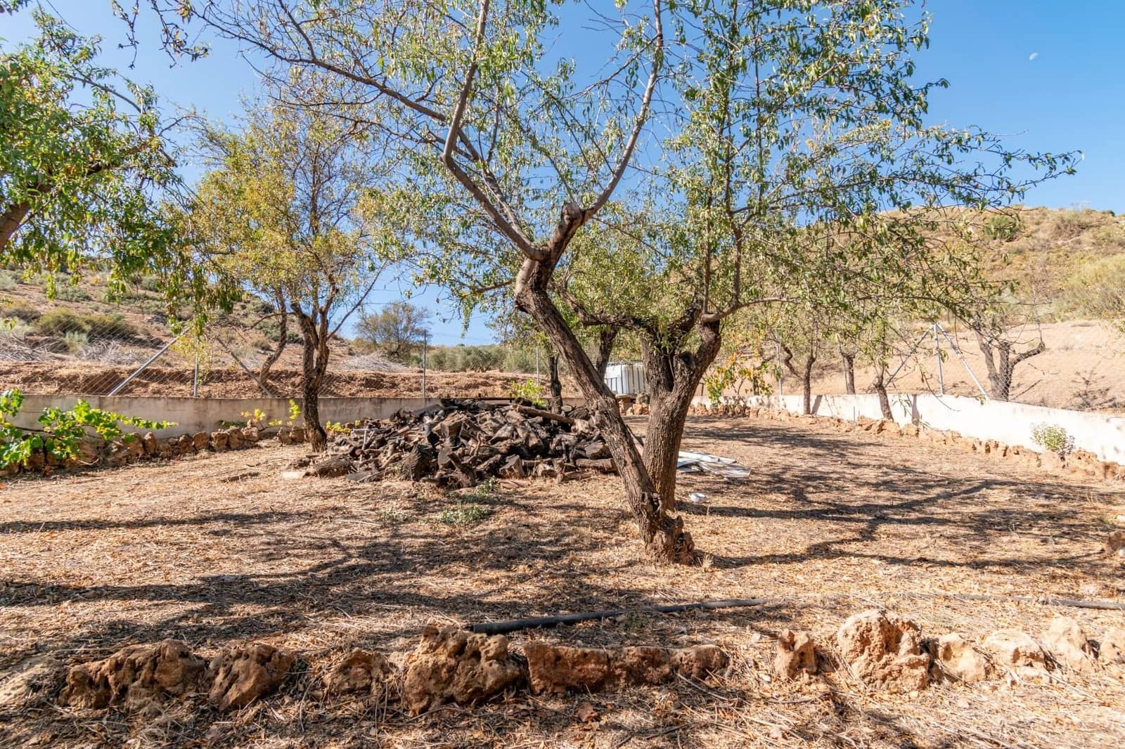 Finca/Casa Rural de 3 habitaciones en La Peza en venta - 149.900 € (Ref: 9534312)