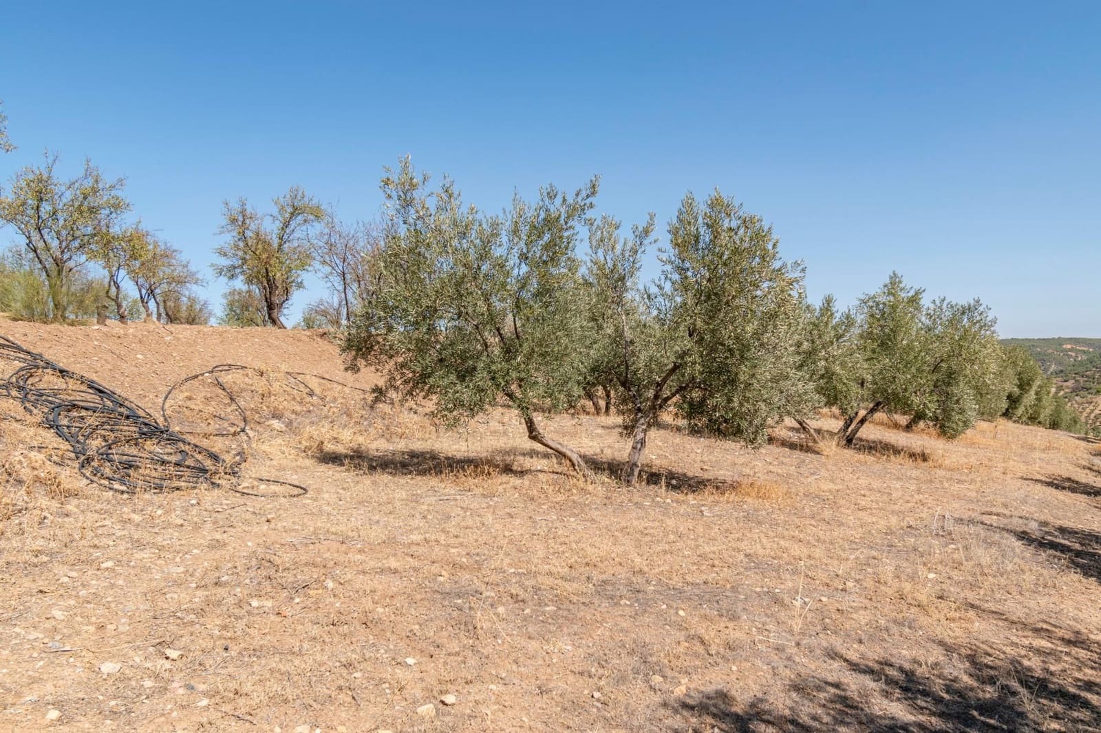 Finca/Casa Rural de 3 habitaciones en La Peza en venta - 149.900 € (Ref: 9534312)