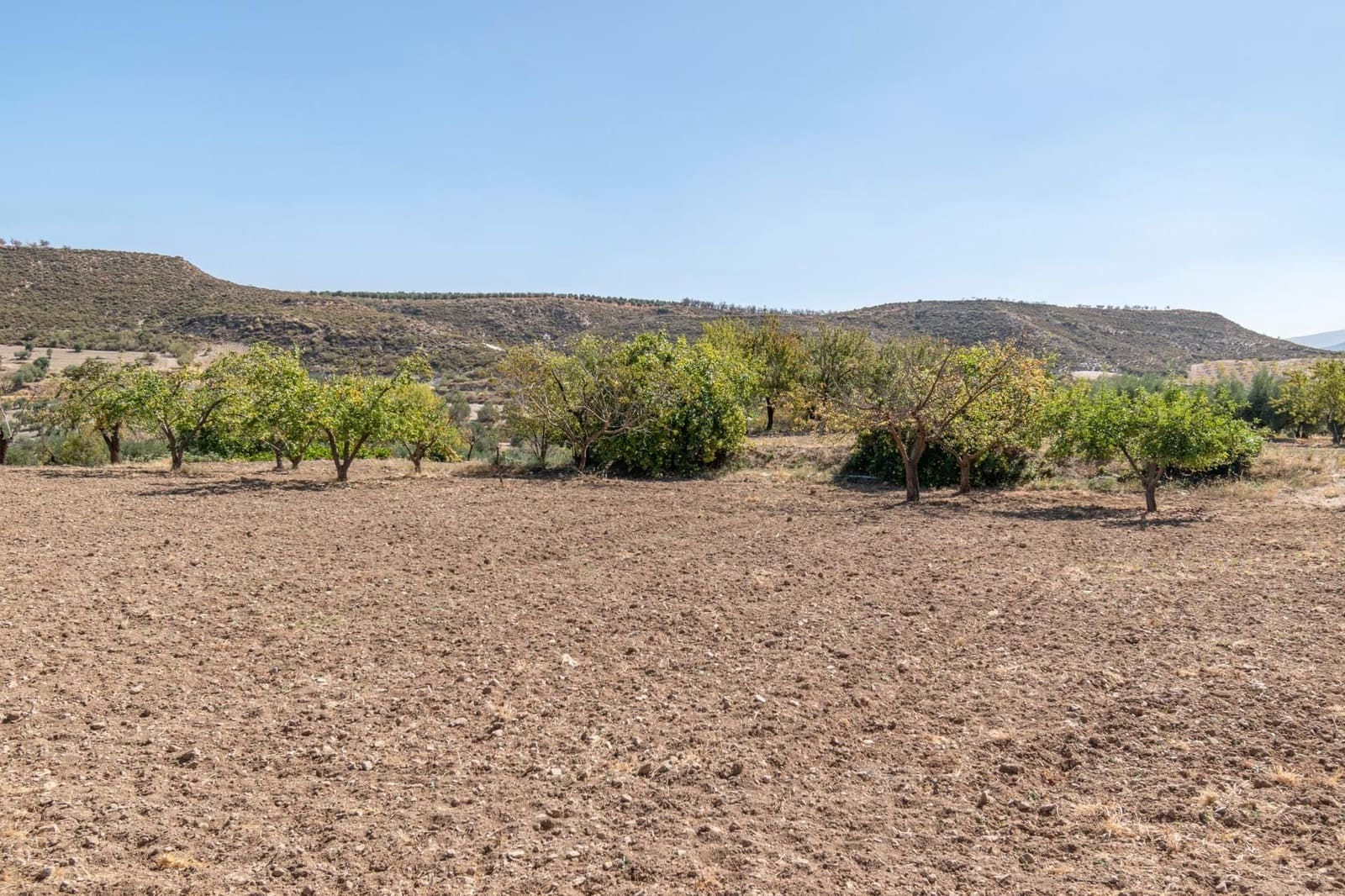 Finca/Casa Rural de 3 habitaciones en La Peza en venta - 149.900 € (Ref: 9534312)