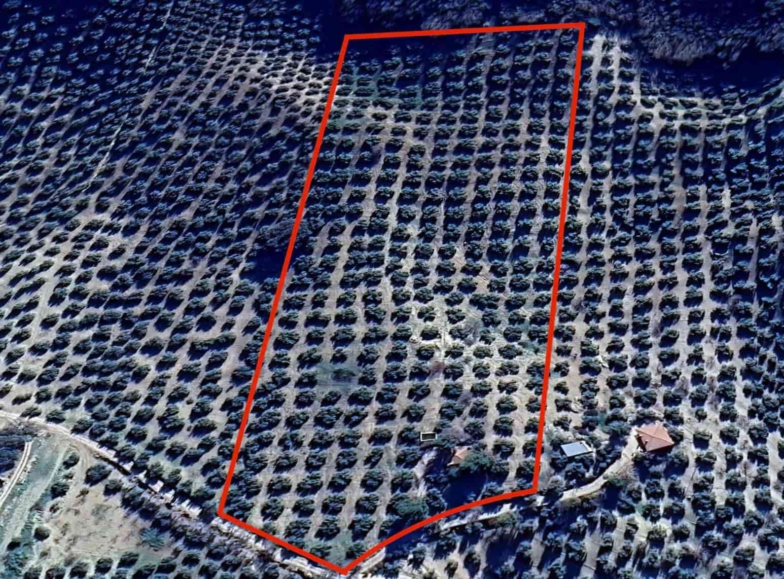 Finka/Dom wiejski na sprzedaż w Montefrio - 320 000 € (Ref: 9534321)