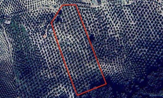 Finka/Dom wiejski na sprzedaż w Montefrío - 320 000 € (Ref: 9534321)