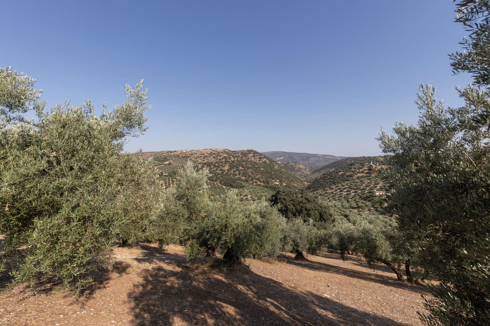 Finka/Dom wiejski na sprzedaż w Montefrio - 320 000 € (Ref: 9534321)