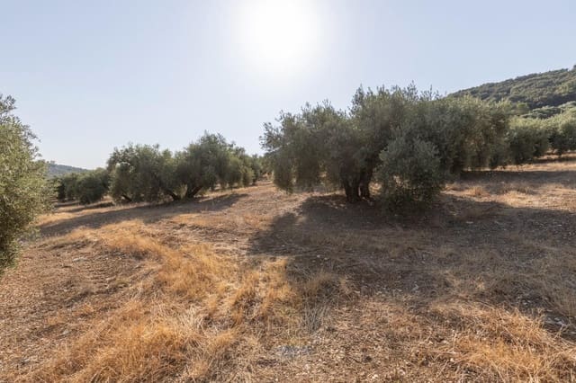 Finka/Dom wiejski na sprzedaż w Montefrío - 320 000 € (Ref: 9534321)