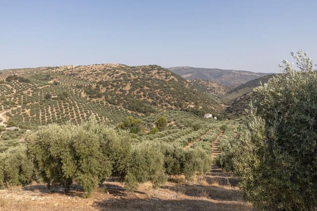 Finka/Dom wiejski na sprzedaż w Montefrío - 320 000 € (Ref: 9534321)