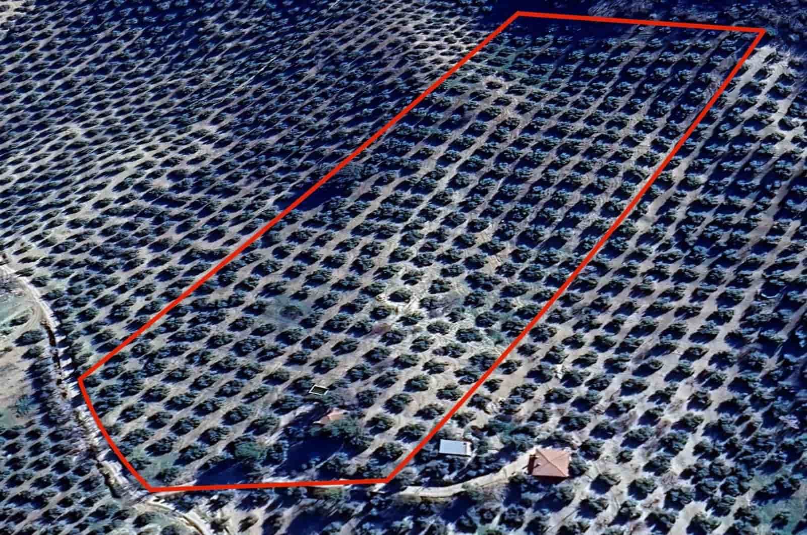 Finka/Dom wiejski na sprzedaż w Montefrio - 320 000 € (Ref: 9534321)