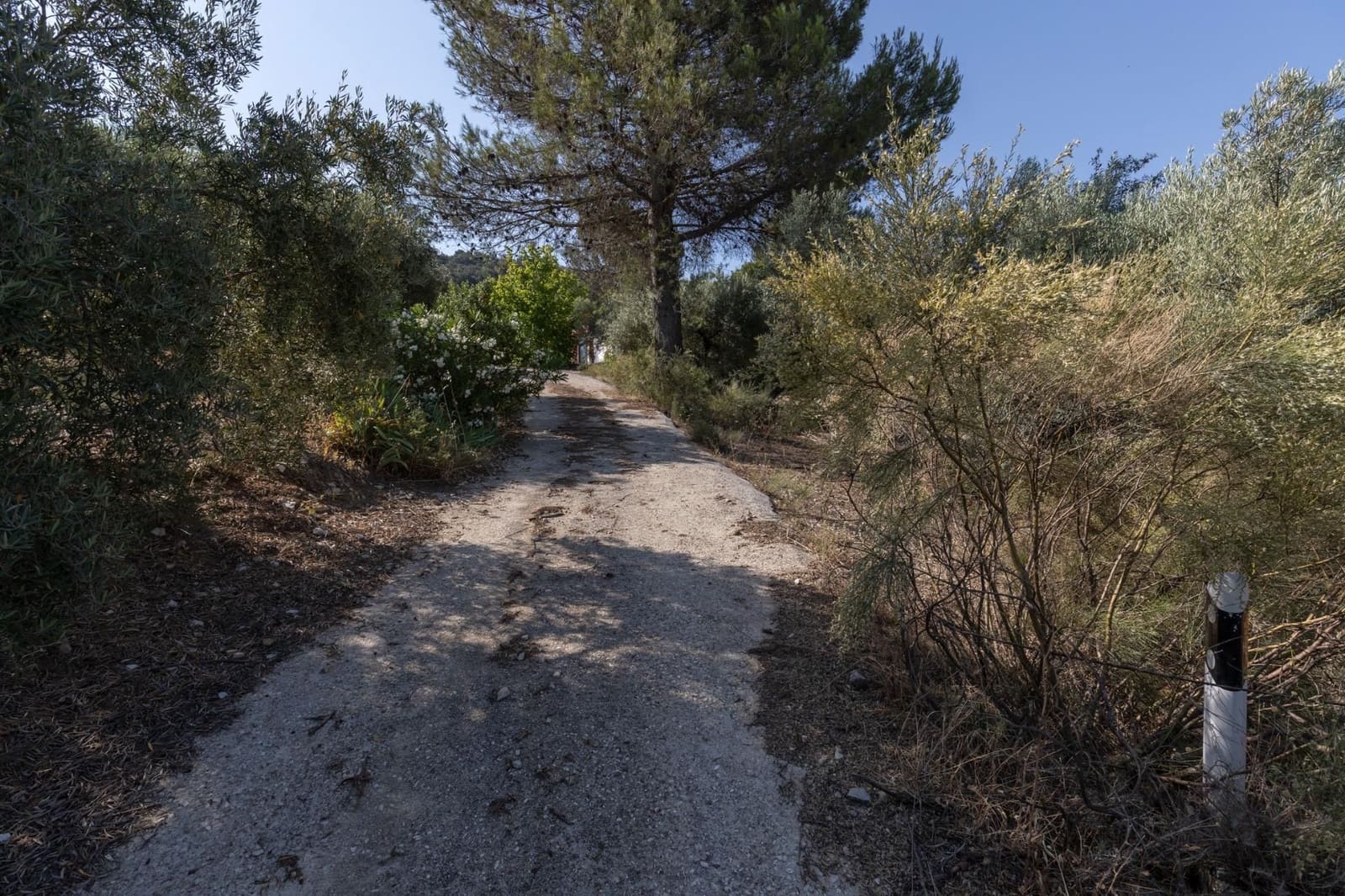 Finka/Dom wiejski na sprzedaż w Montefrio - 320 000 € (Ref: 9534321)