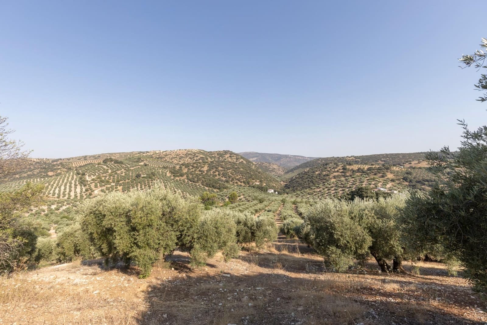 Finka/Dom wiejski na sprzedaż w Montefrio - 320 000 € (Ref: 9534321)