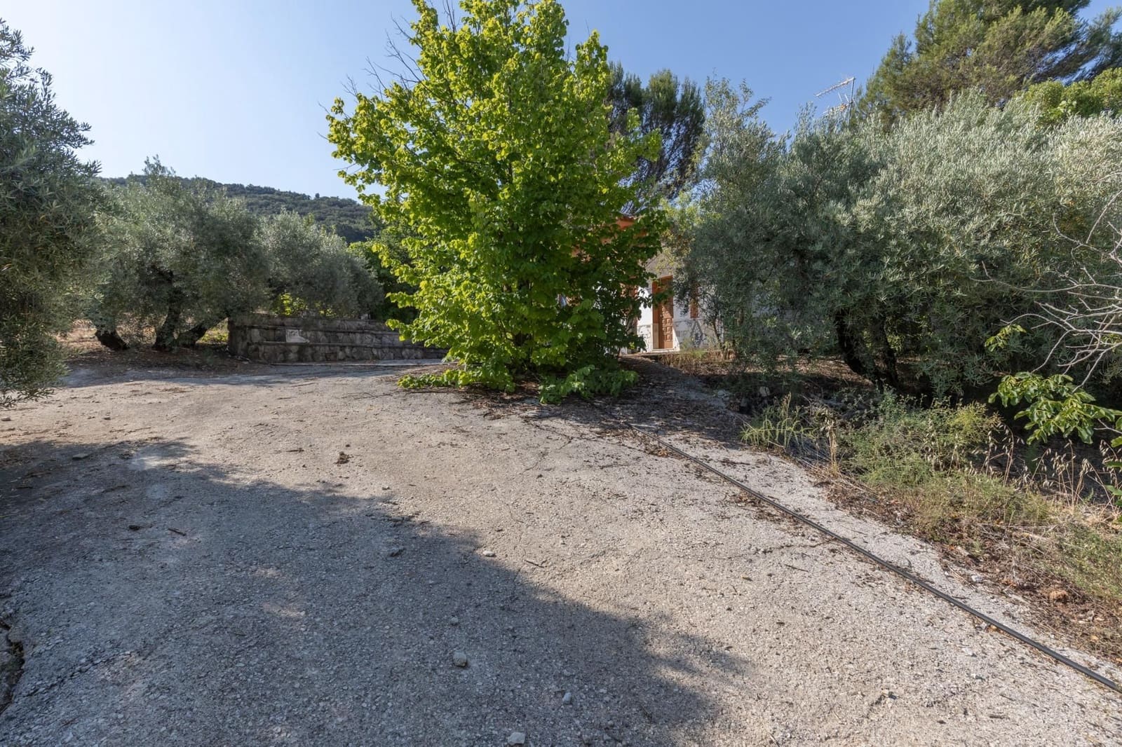 Finka/Dom wiejski na sprzedaż w Montefrio - 320 000 € (Ref: 9534321)