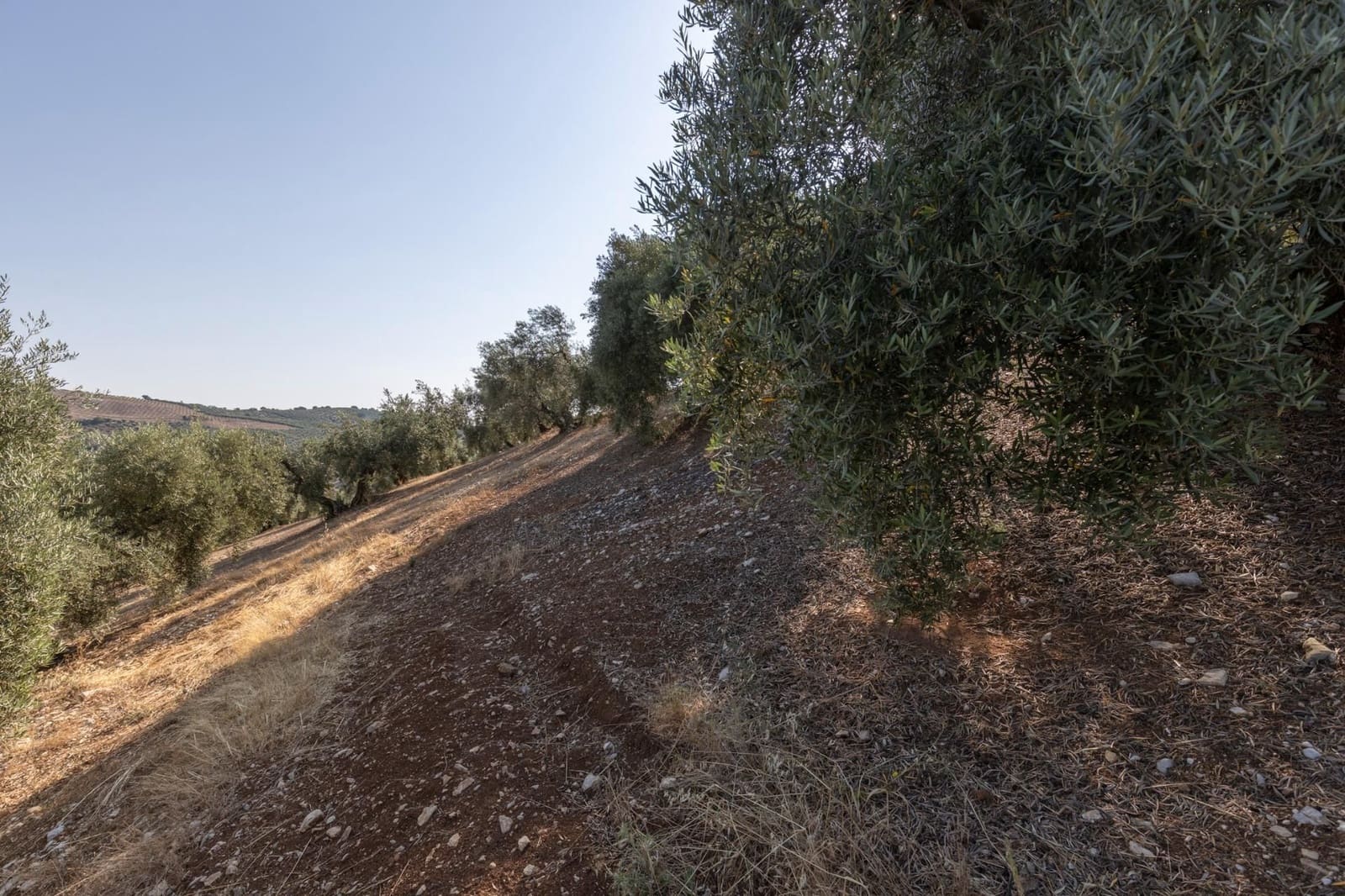 Finka/Dom wiejski na sprzedaż w Montefrio - 320 000 € (Ref: 9534321)