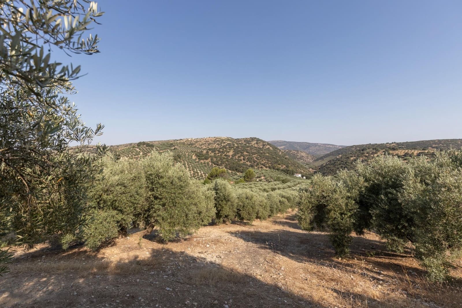 Finka/Dom wiejski na sprzedaż w Montefrio - 320 000 € (Ref: 9534321)