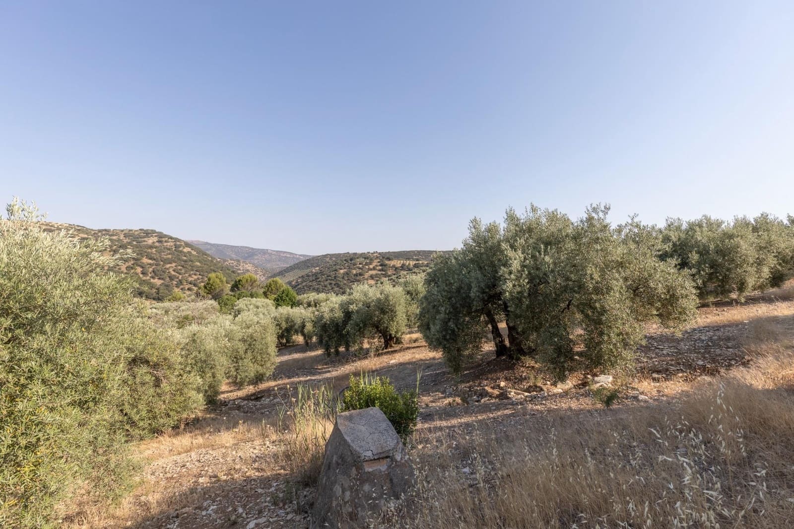 Finka/Dom wiejski na sprzedaż w Montefrio - 320 000 € (Ref: 9534321)