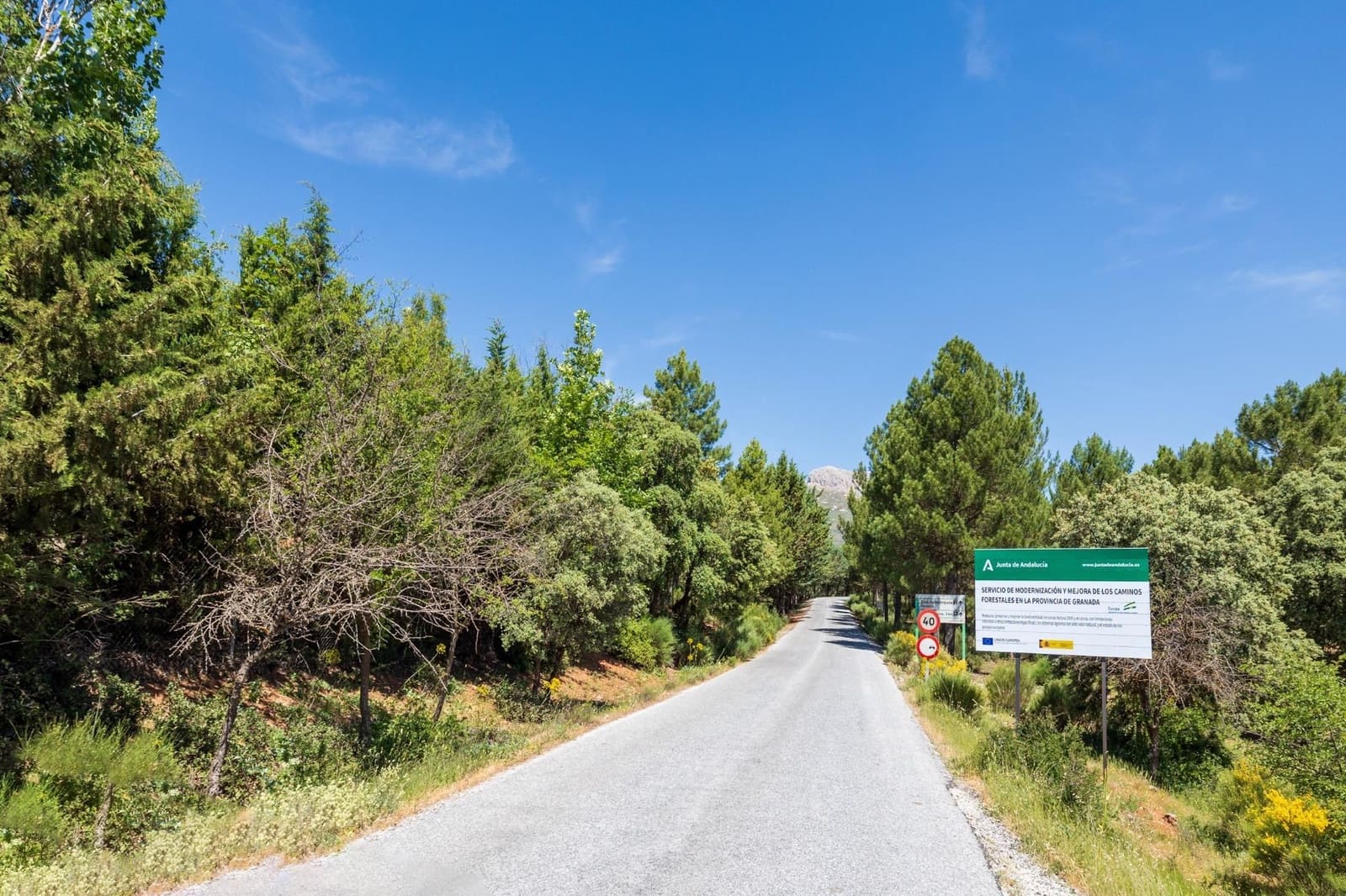 Działka budowlana na sprzedaż w Huetor Santillan - 20 000 € (Ref: 9534338)