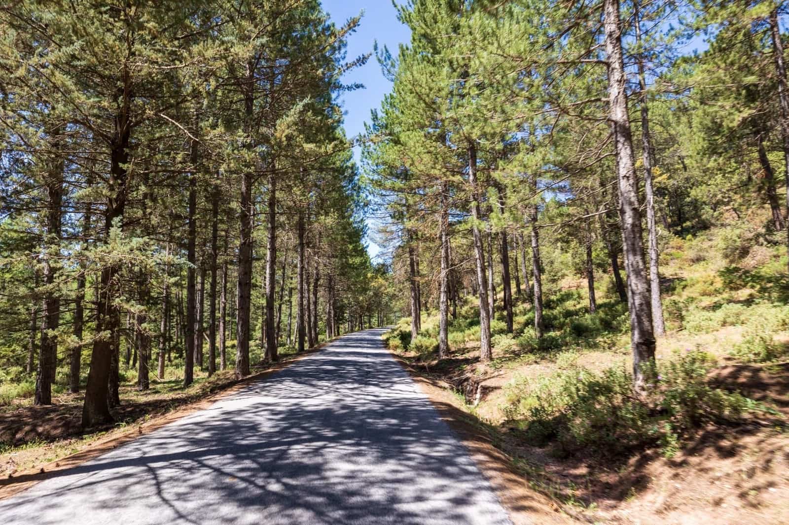 Działka budowlana na sprzedaż w Huetor Santillan - 20 000 € (Ref: 9534338)