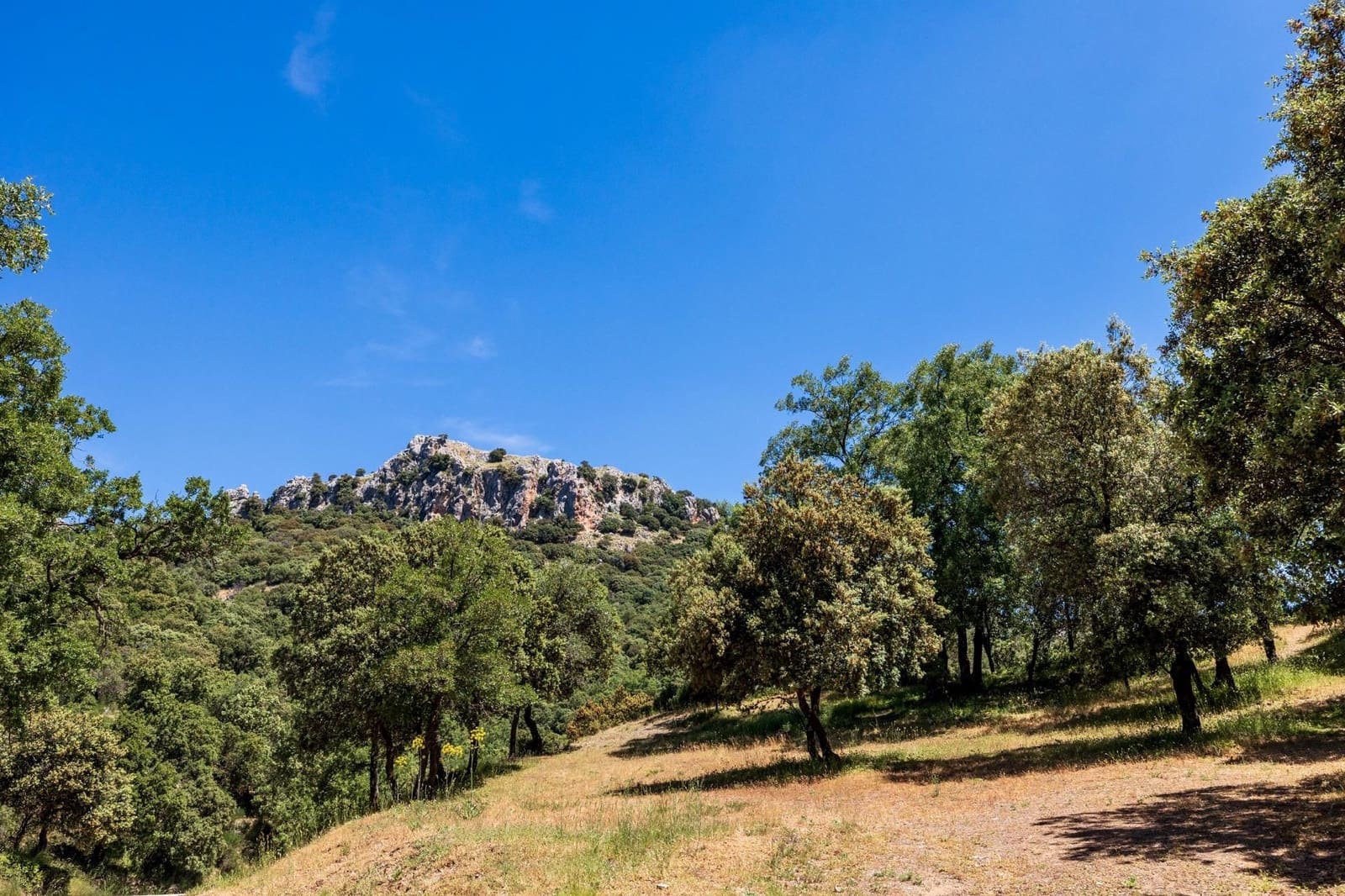 Działka budowlana na sprzedaż w Huetor Santillan - 20 000 € (Ref: 9534338)