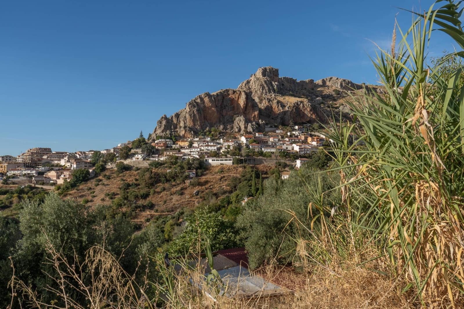 Solar/Parcela en Cogollos Vega en venta - 18.000 € (Ref: 9534339)