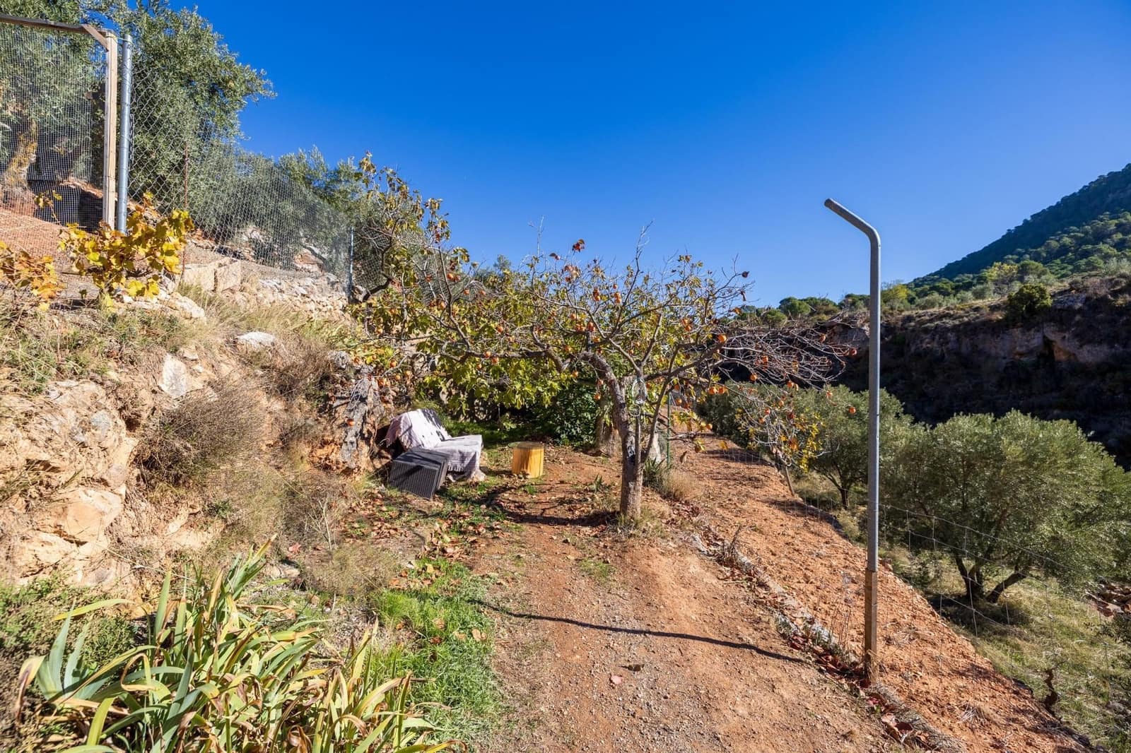 2 slaapkamer Finca/Landhuis te koop in Cogollos Vega - € 99.000 (Ref: 9534346)