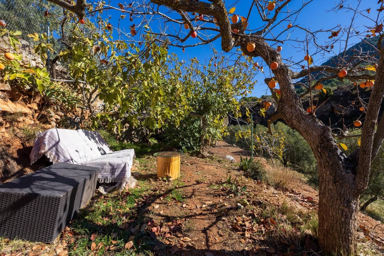 2 slaapkamer Finca/Landhuis te koop in Cogollos Vega - € 99.000 (Ref: 9534346)