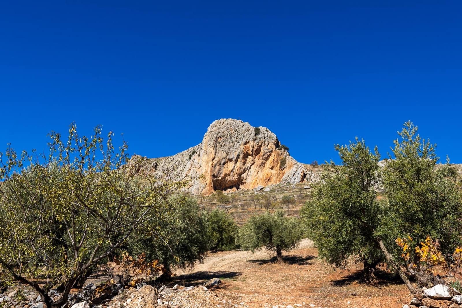 2 slaapkamer Finca/Landhuis te koop in Cogollos Vega - € 99.000 (Ref: 9534346)