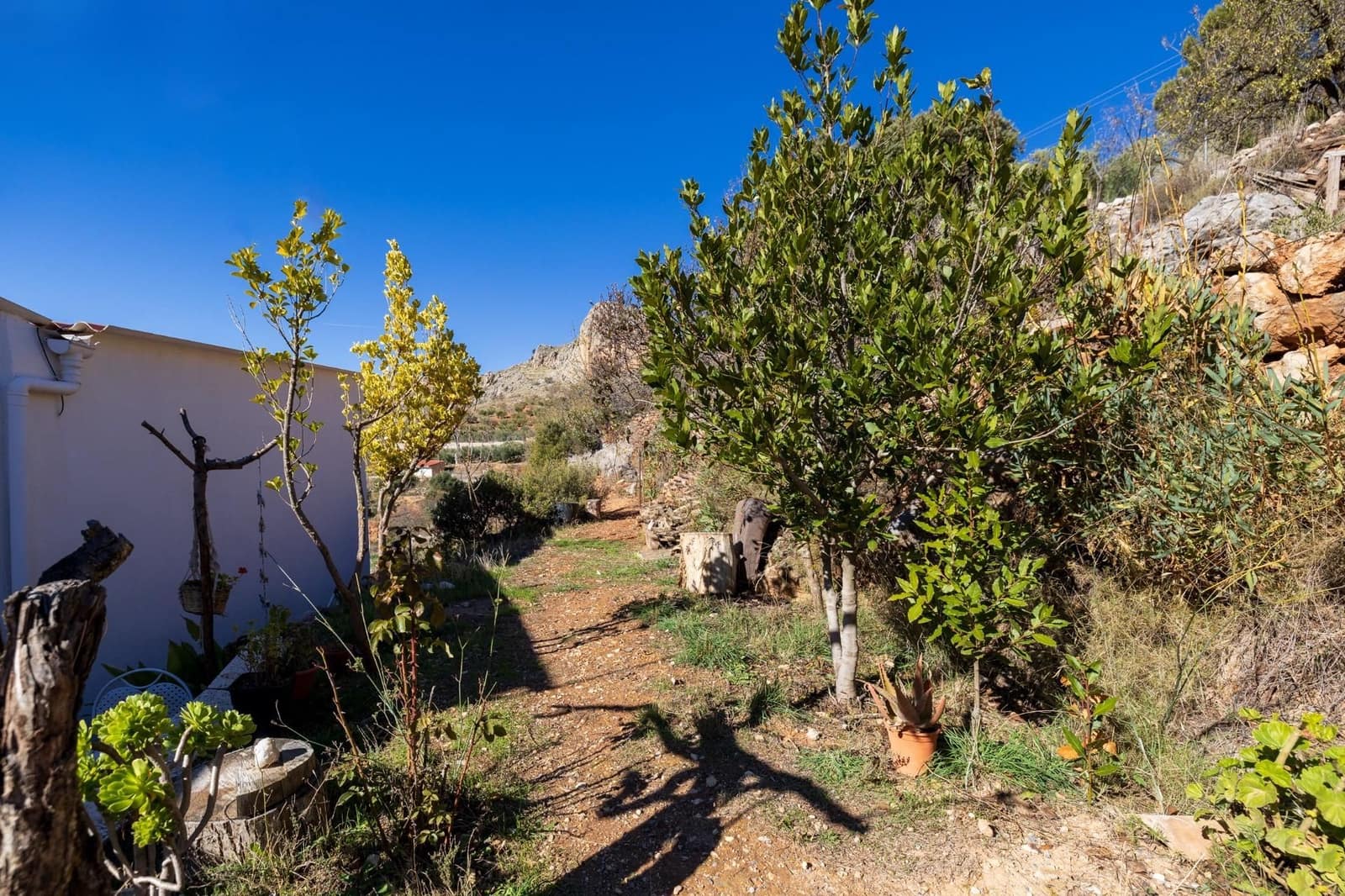 2 slaapkamer Finca/Landhuis te koop in Cogollos Vega - € 99.000 (Ref: 9534346)