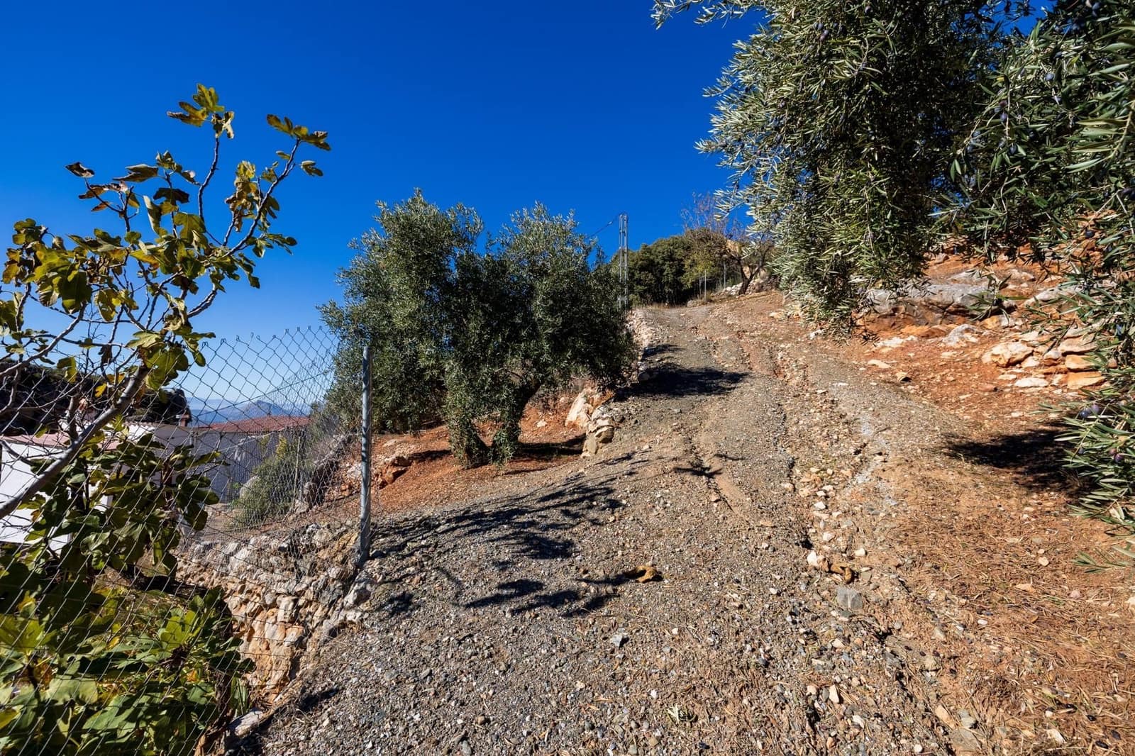 2 slaapkamer Finca/Landhuis te koop in Cogollos Vega - € 99.000 (Ref: 9534346)