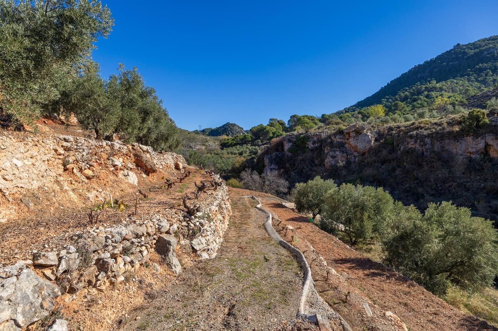 2 slaapkamer Finca/Landhuis te koop in Cogollos Vega - € 99.000 (Ref: 9534346)