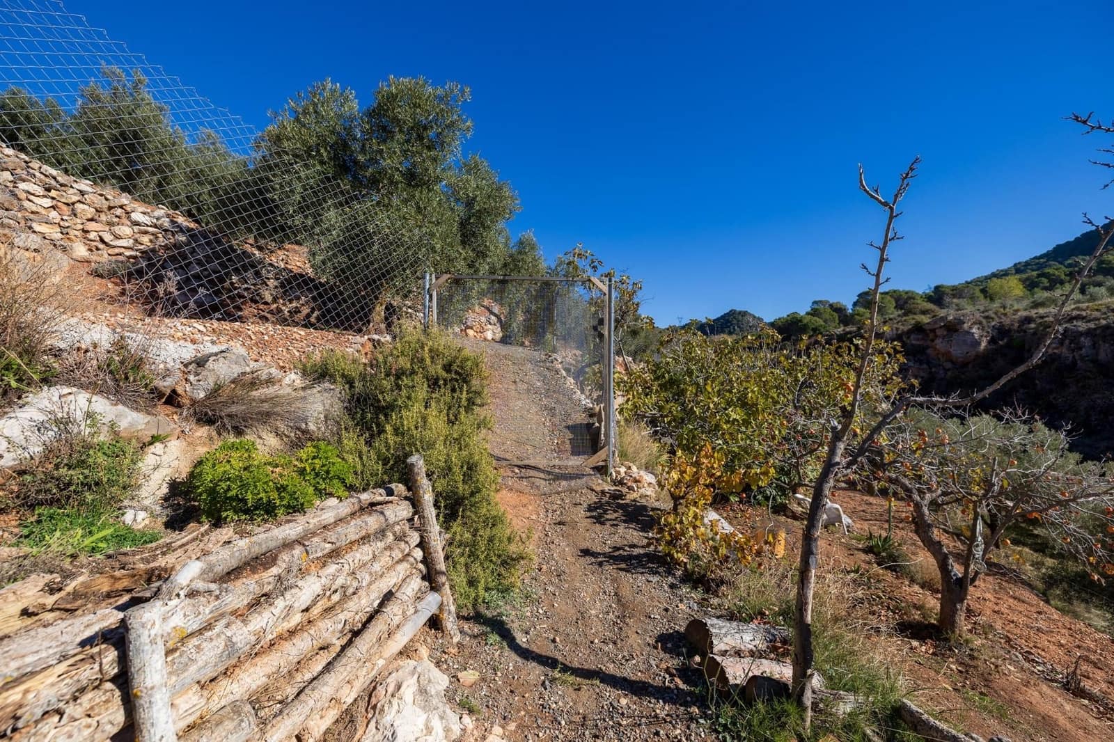 2 slaapkamer Finca/Landhuis te koop in Cogollos Vega - € 99.000 (Ref: 9534346)