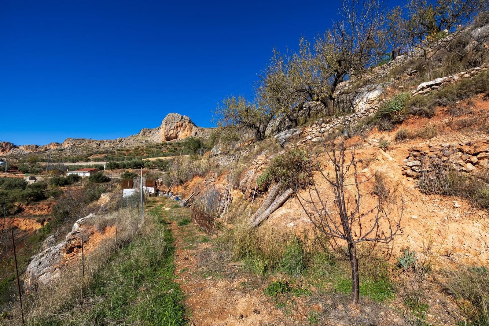 2 slaapkamer Finca/Landhuis te koop in Cogollos Vega - € 99.000 (Ref: 9534346)