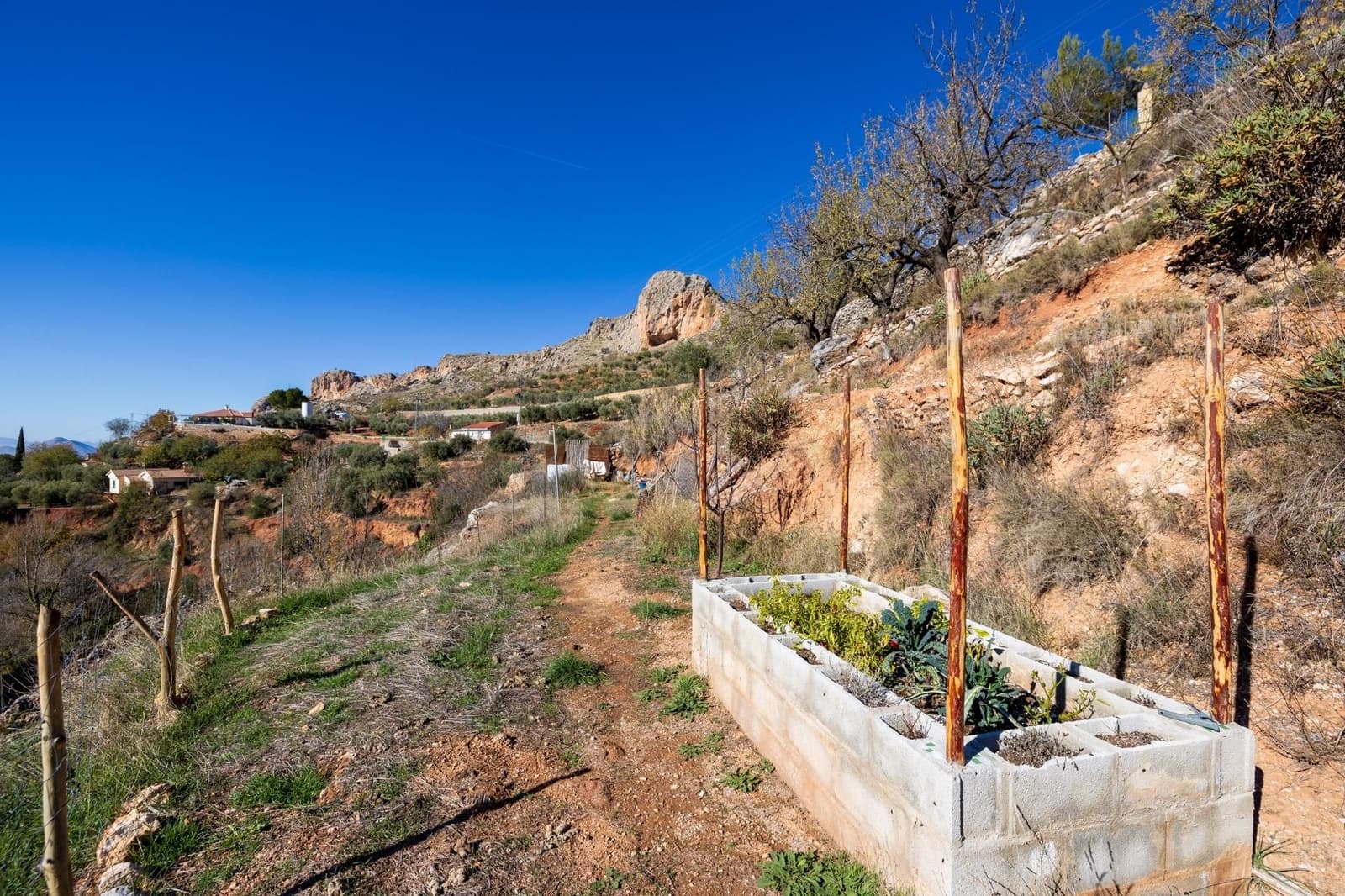 2 slaapkamer Finca/Landhuis te koop in Cogollos Vega - € 99.000 (Ref: 9534346)