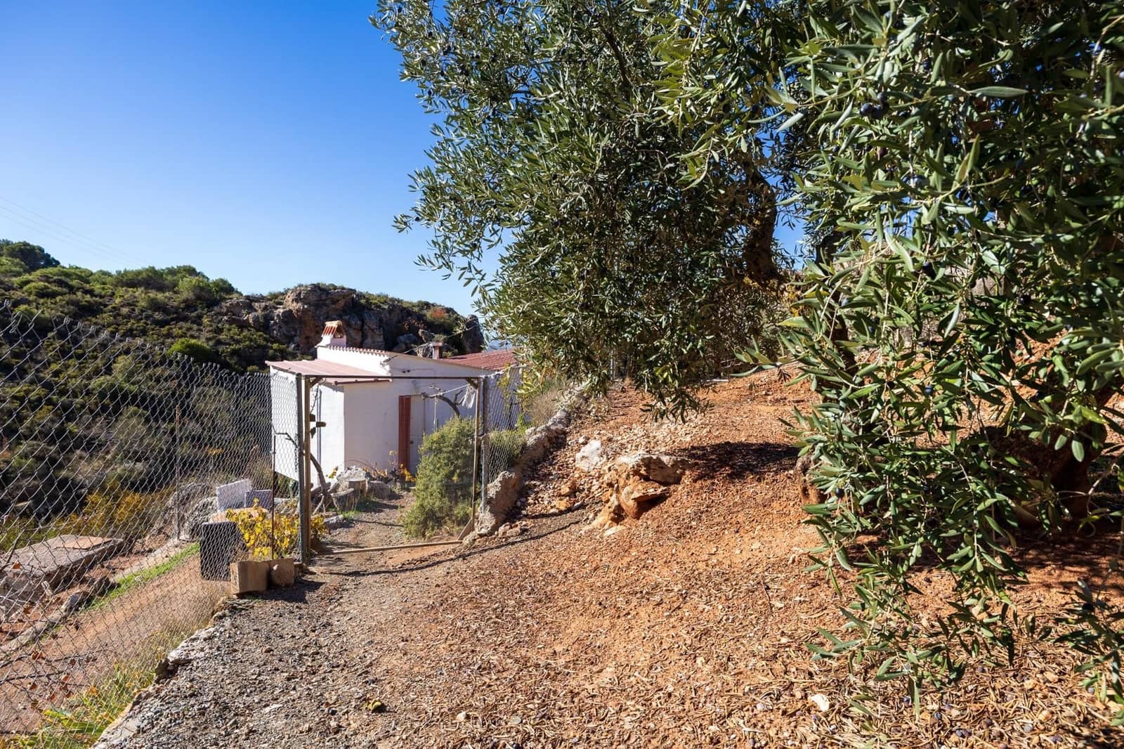 2 slaapkamer Finca/Landhuis te koop in Cogollos Vega - € 99.000 (Ref: 9534346)