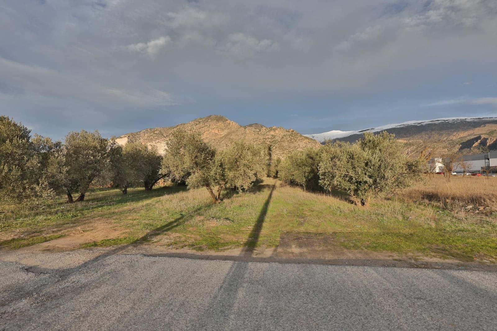 Building Plot for sale in Niguelas - € 95,000 (Ref: 9539482)