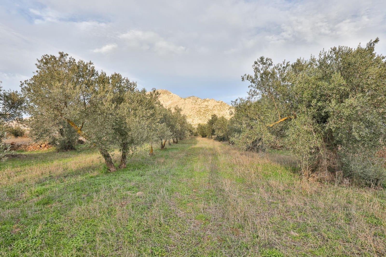 Building Plot for sale in Niguelas - € 95,000 (Ref: 9539482)