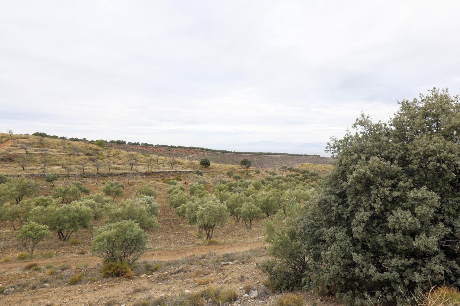 Finca/Landehus til salg i Monachil - € 112.500 (Ref: 9539486)