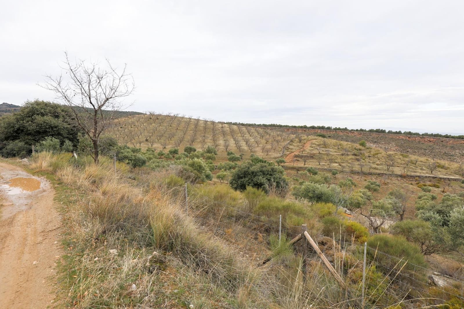 Finca/Landehus til salg i Monachil - € 112.500 (Ref: 9539486)