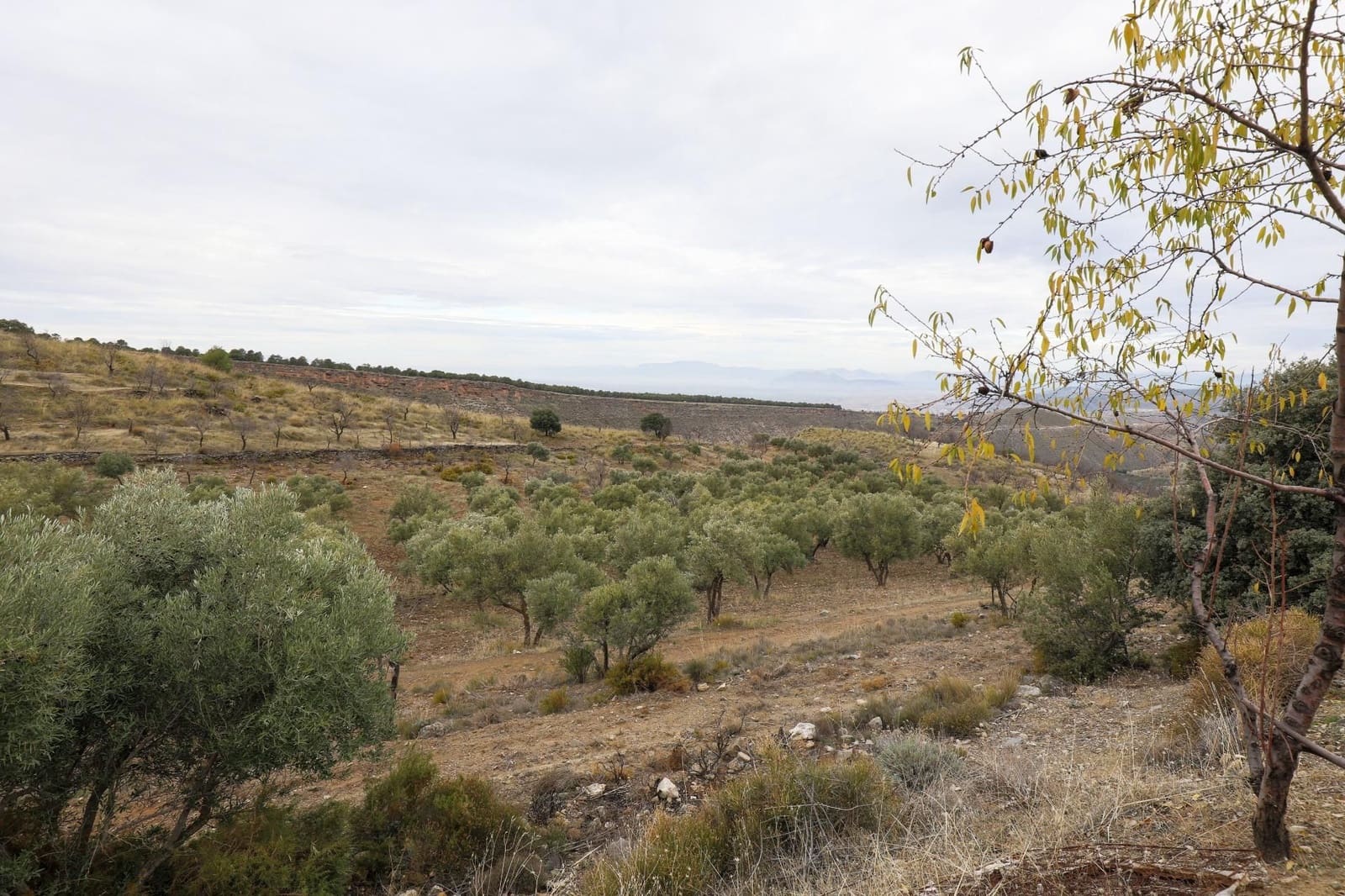 Finca/Landehus til salg i Monachil - € 112.500 (Ref: 9539486)