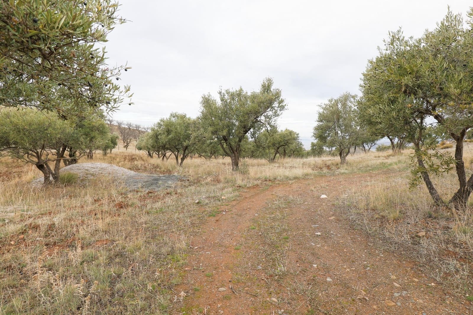 Finca/Landehus til salg i Monachil - € 112.500 (Ref: 9539486)