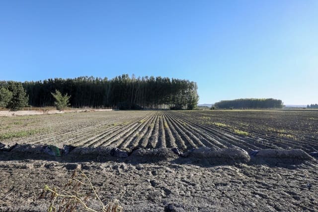 4 soveværelse Finca/Landehus til salg i Fuente Vaqueros - € 349.000 (Ref: 9539487)