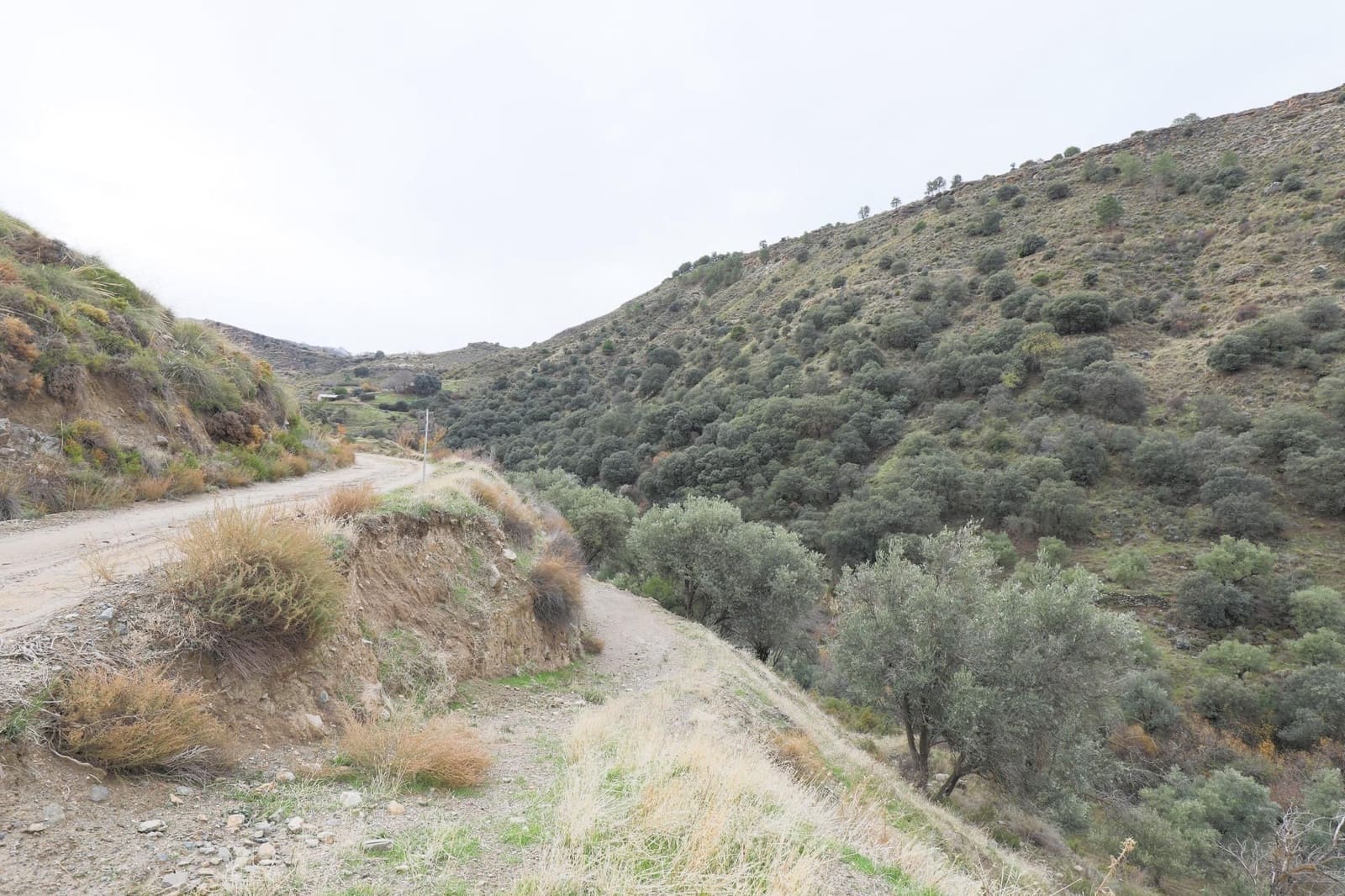 Finca/Landehus til salg i Monachil - € 28.000 (Ref: 9539488)