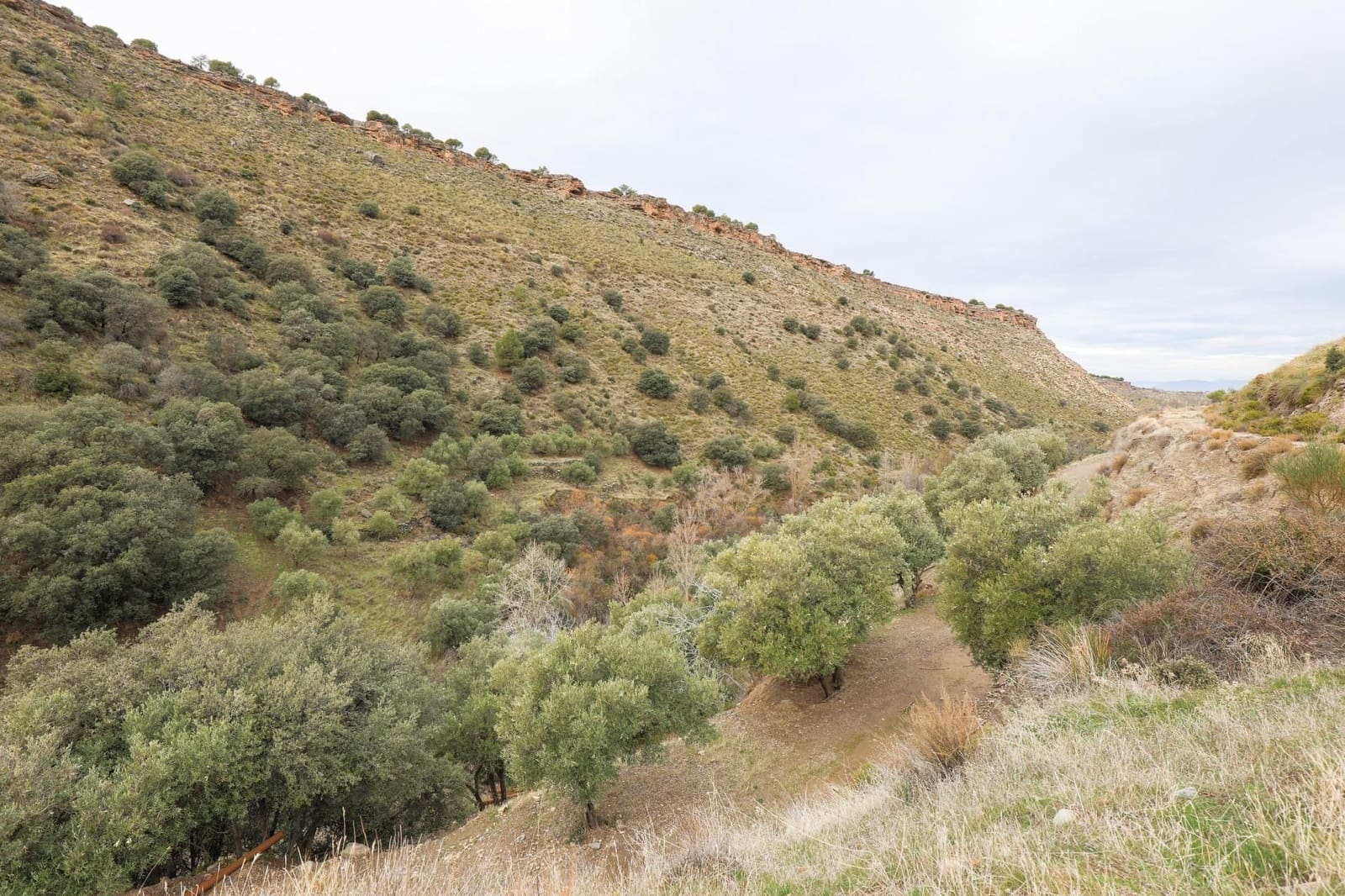 Finca/Landehus til salg i Monachil - € 28.000 (Ref: 9539488)