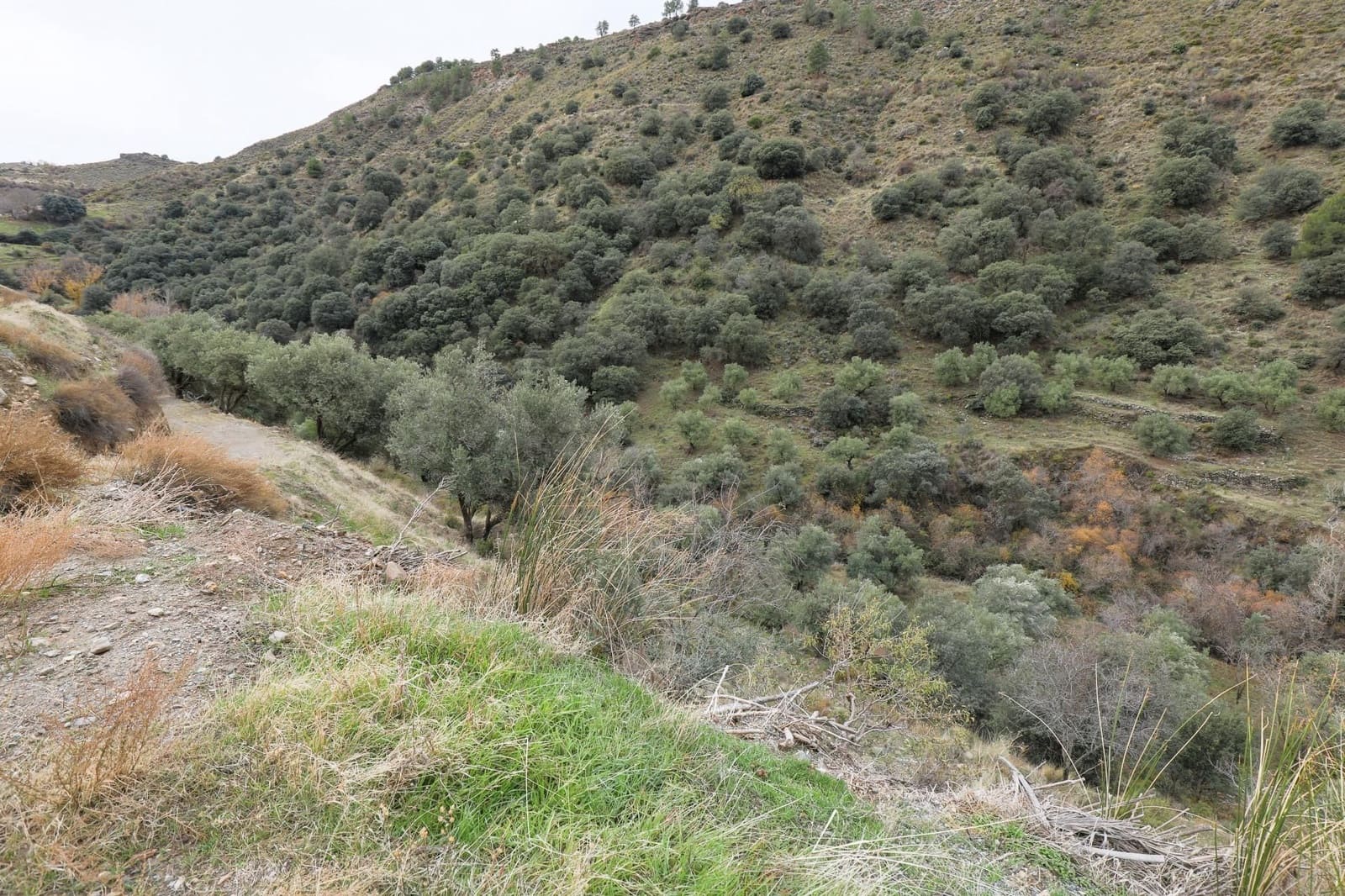 Finca/Landehus til salg i Monachil - € 28.000 (Ref: 9539488)