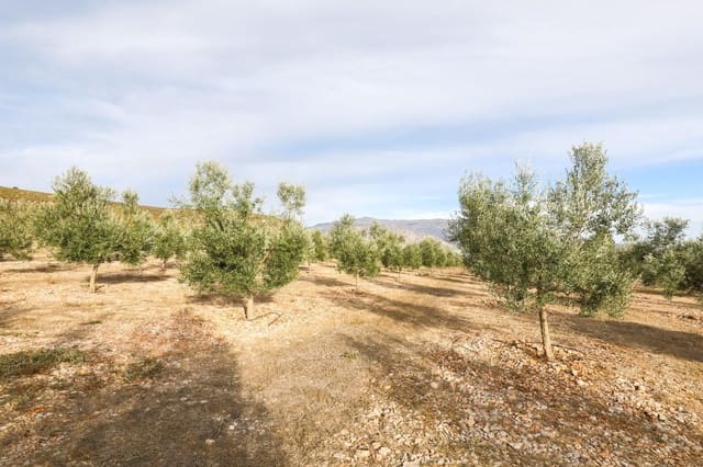 Finca/Landehus til salg i Villamena - € 700.000 (Ref: 9539489)