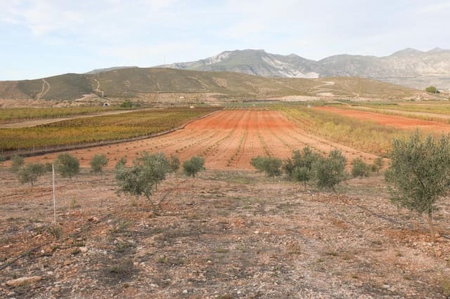 Finca/Landehus til salg i Villamena - € 700.000 (Ref: 9539489)