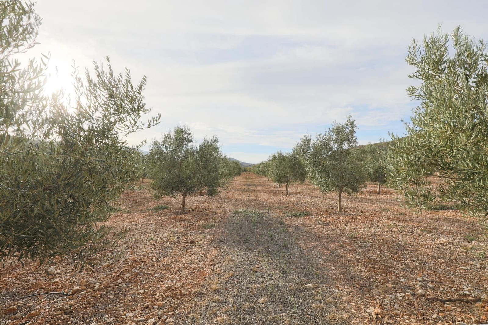 Finca/Landehus til salg i Villamena - € 700.000 (Ref: 9539489)