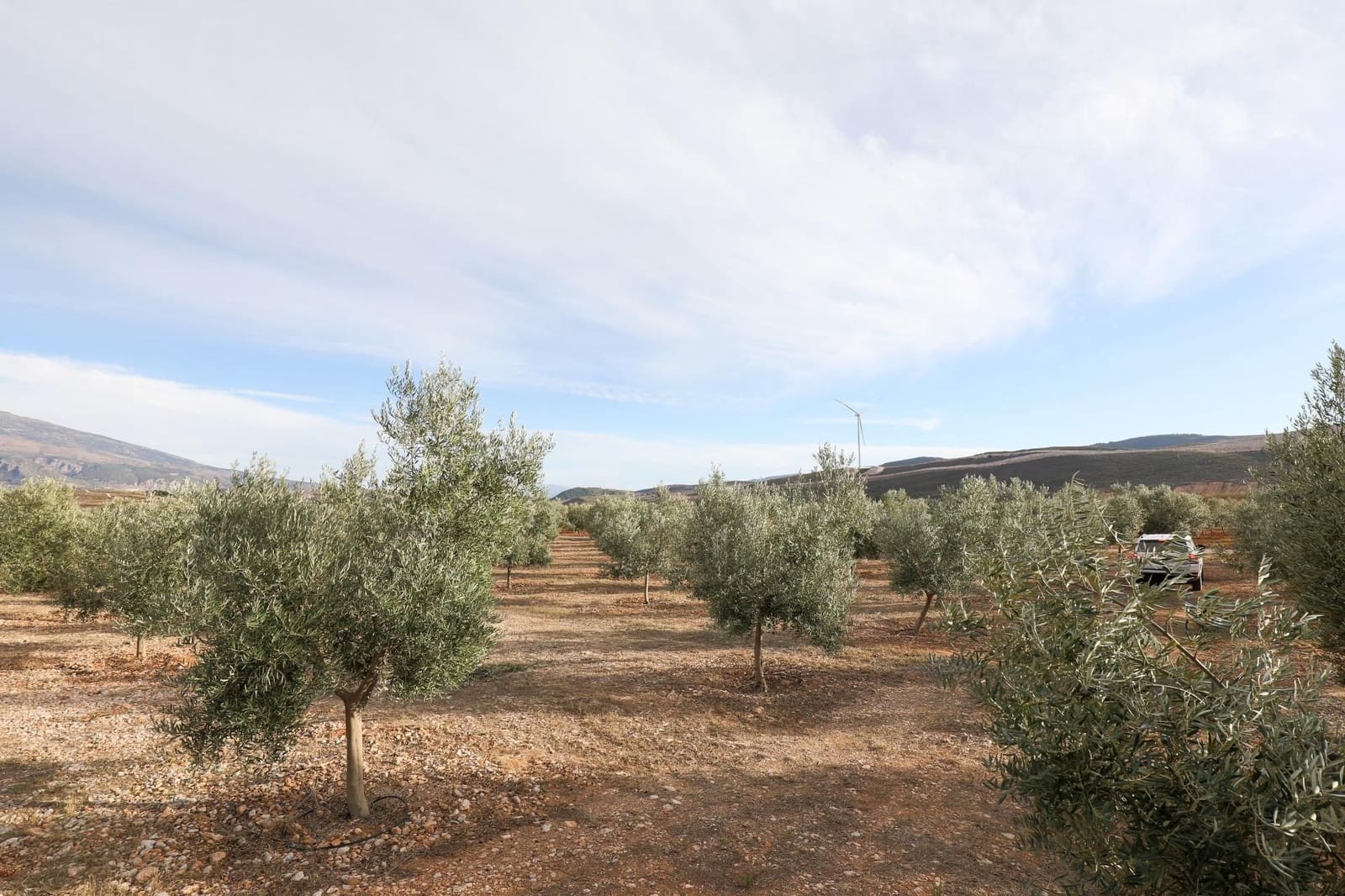Finca/Landehus til salg i Villamena - € 700.000 (Ref: 9539489)
