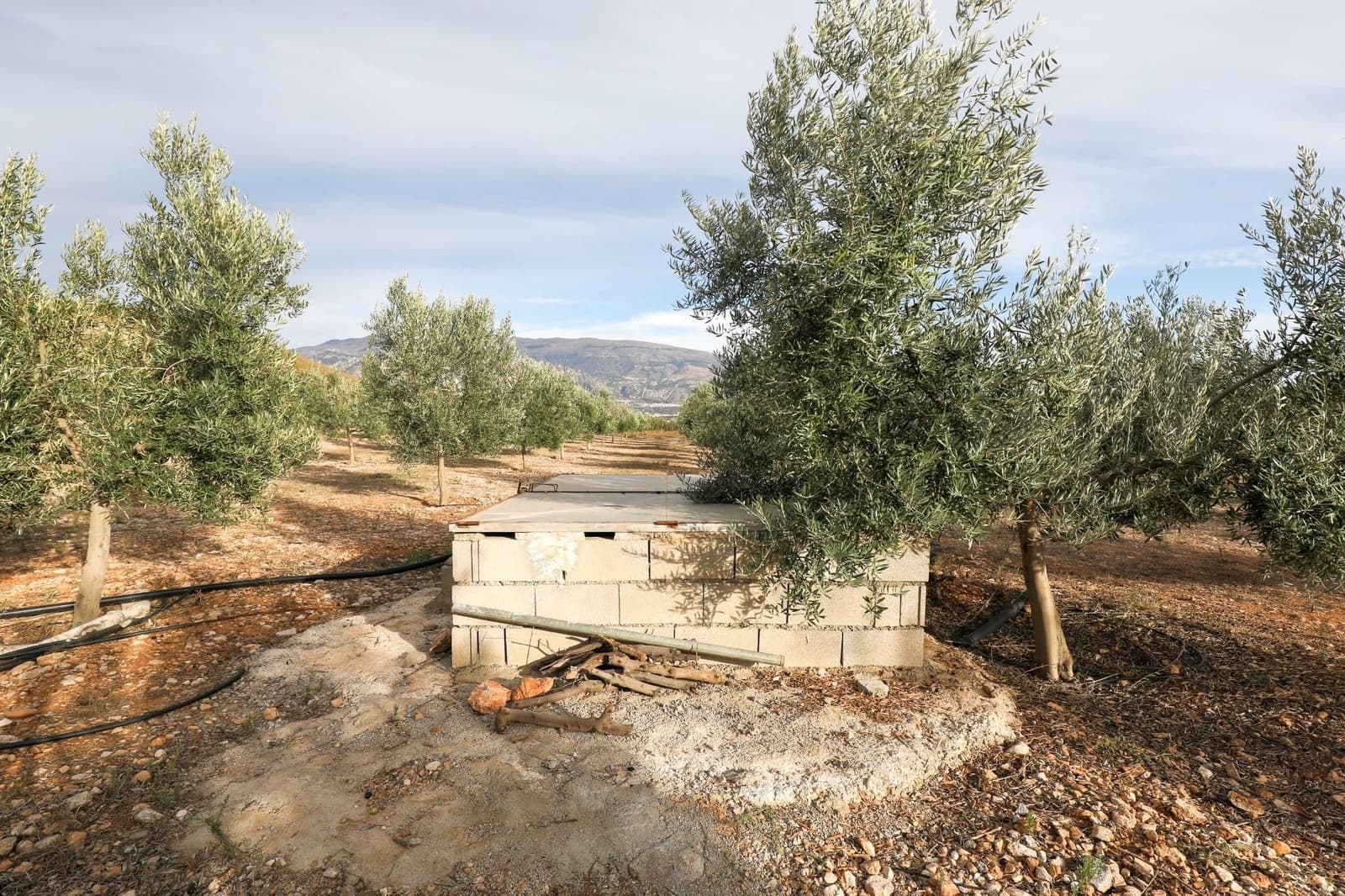 Finca/Landehus til salg i Villamena - € 700.000 (Ref: 9539489)