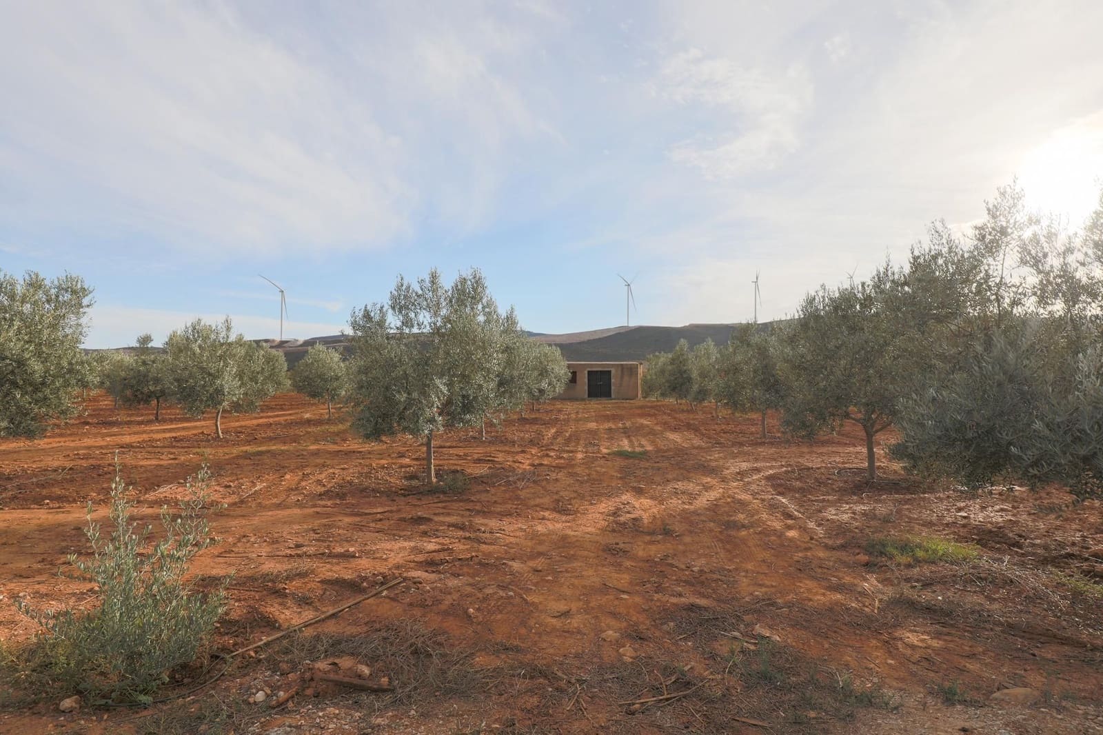 Finca/Landehus til salg i Villamena - € 700.000 (Ref: 9539489)