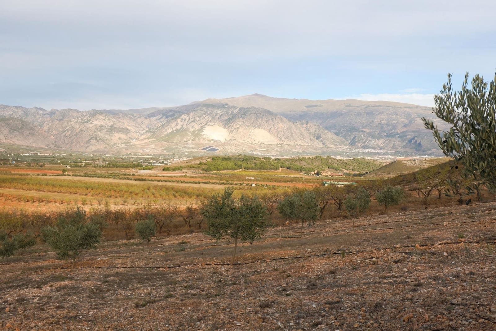 Finca/Landehus til salg i Villamena - € 700.000 (Ref: 9539489)