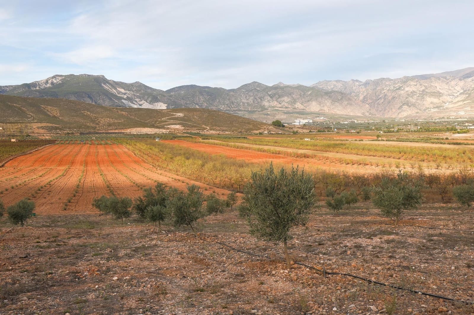 Finca/Landehus til salg i Villamena - € 700.000 (Ref: 9539489)